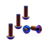 RISON-Titanium M5X10mm Titanium Screws, Pack of 5, Burnt Blue, Button