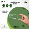 Fairvital | Cholinbitartrat 600mg - 90 Tabletten - Leber &