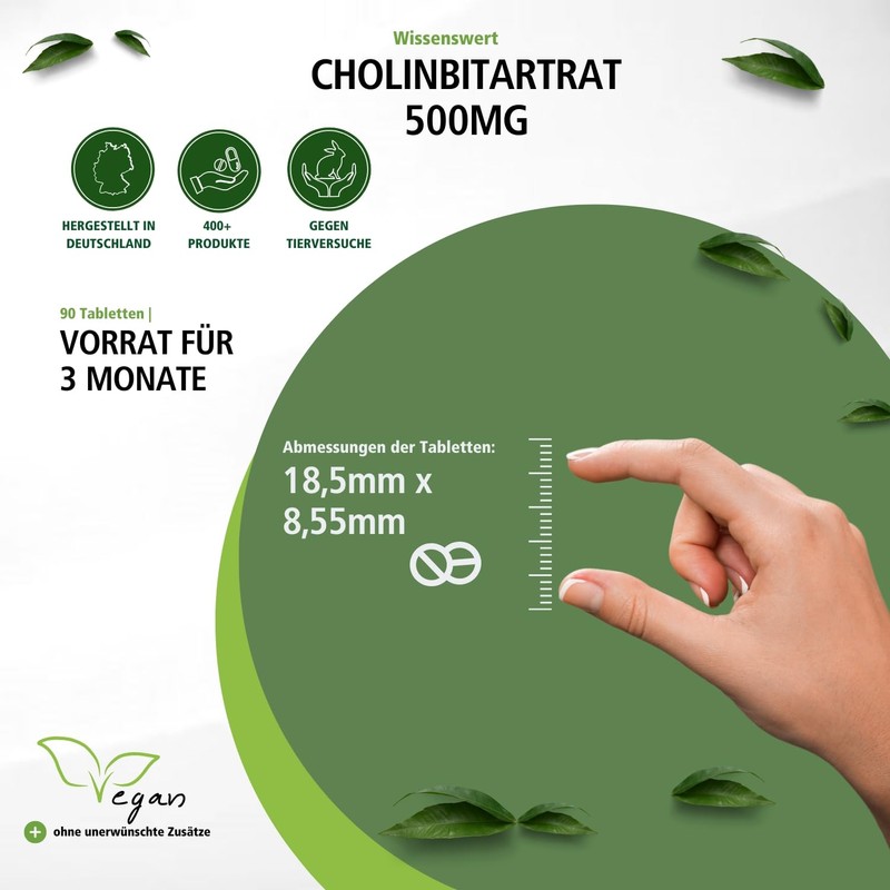 Fairvital | Cholinbitartrat 600mg - 90 Tabletten - Leber &