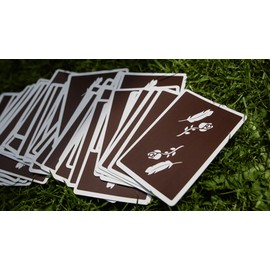 Murphy's Magic Supplies, Inc. Brown Remedies Madison x Schneider Playing Cards