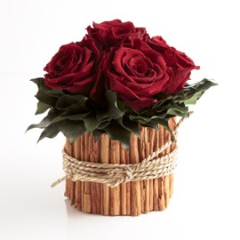 ROSEMARIE SCHULZ Heidelberg Rose Arrangement 6 Preserved Roses Long Lasting 3 Years Flower Arrangement Farmhouse Flower Decoration Table (Dark Red)