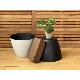 Plants & Gardens DIY Pothos Plant Kit – 2-Gallon Planter, Coco Coir Soil, Easy Indoor Houseplant