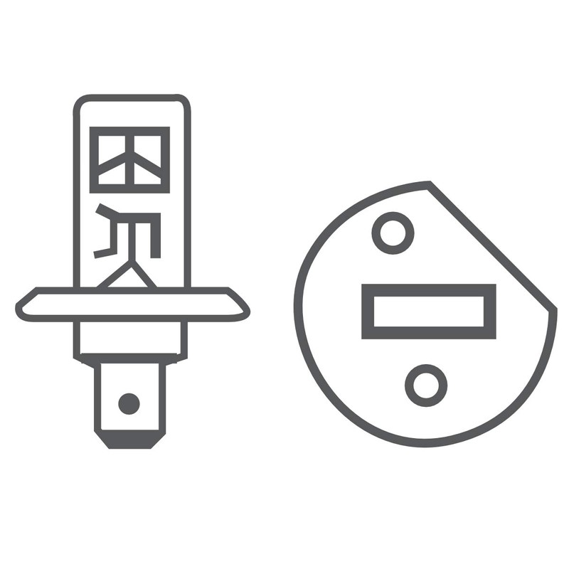 BREHMA 10x H1 12V 55W Halogen Car Lamp P14.5s