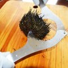 fuik Sea Urchin Opener, Sea Urchin Cutter Multifunctional Anti Rust