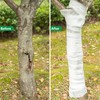 LFUTARI 115Ft Tree Protector Wraps - Winter-Proof Antifreeze Bandage Tree