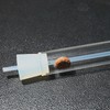 JBL PlaCollect, Planaria trap to combat flatworms