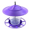 etree Easy Clean Hanging Lantern Bird Feeder (2023 Design) -