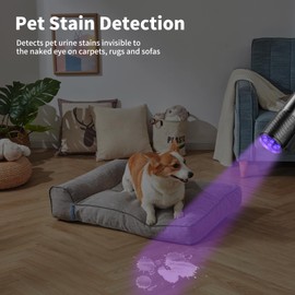 LEAGY 6 Pack UV Ultra Violet Blacklight 9 LED Flashlight Torch Light Outdoors Etc