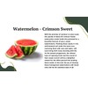 Crimson Sweet Watermelon Seeds for Planting - Premium Heirloom Seeds