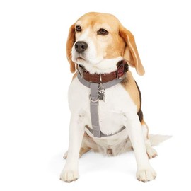 Reddy Grey Reflective Dog Harness, Medium