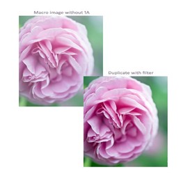 UV (Haze) 1A Multicoated | Multithreaded Glass Filter (52mm) for Sony Alpha DSLR-SLT-A33