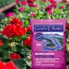 Coast of Maine Organic & Natural Bar Harbor Blend Potting