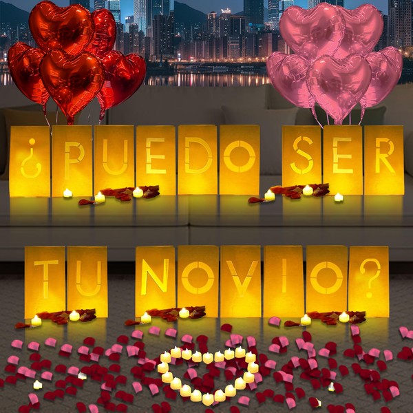 PUEDO SER TU NOVIO? Lighted Letters Sign 17pcs Luminary Paper