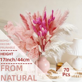 Dried Pampas Grass Bouquet All-Natural Fluffy Dried Plants with Amaranthus Bunny Tails for Vase Home Wedding Table Centerpieces Girls Room Decor Flower Arrangements 70Pcs (Pink)