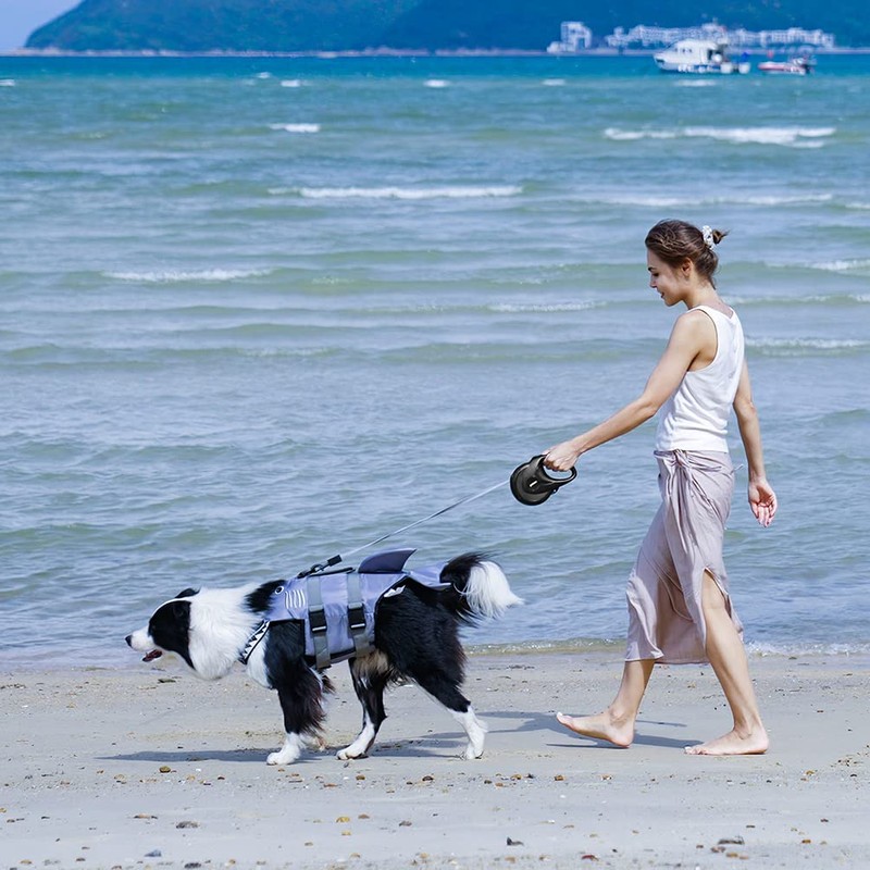 LOVE XINRUI Retractable Dog Leash, 4M/13ft Dog, Strong Nylon Tape,Walking