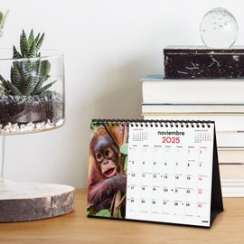 Finocam - Calendar Desktop Images to Write 2025 Month View January 2025 - December 2025 (12 months) Wild Wildlife Spanish