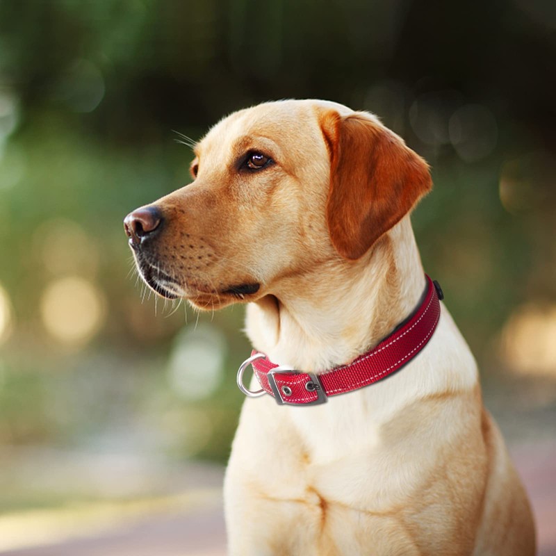 Fida Heavy Duty Dog Collar, Ultra Comfortable Soft Neoprene Padded,
