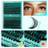 Lash Clusters Kit,280Pcs Individual 60D 80D Eyelash Extension Kit,Lash Bond