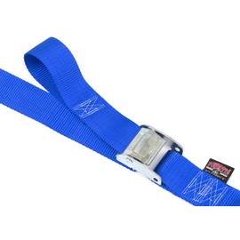 PowerTye 2in x 12 ft Cam Buckle Tie Down Made in USA with Heavy-Duty Latch Hooks - 600 lb. WLL / 1,800 Breaking Strength - Blue (Pair)