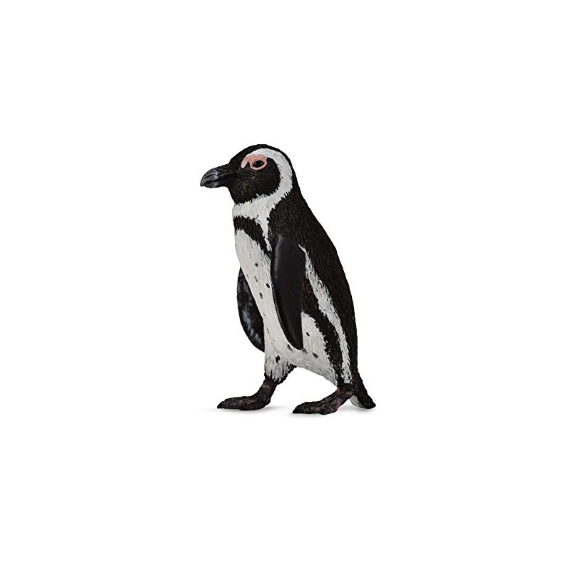 CollectA South African Penguin