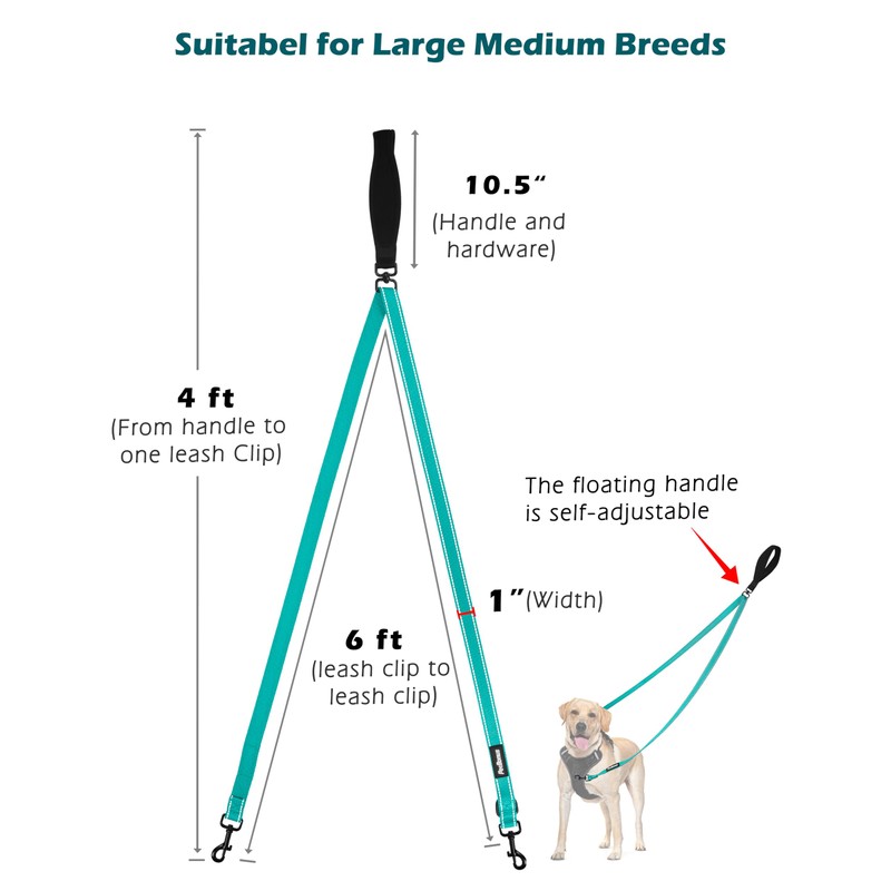 PetBonus Two Point Control Dog Leash, Works with No Pull