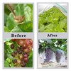 elfinrm 10x10ft Protect Mesh, Bird Netting for Garden, Fruit Tree