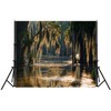 Fmarui Swamp Landscape Backdrop Bald Cypress Trees and Spanish Moss