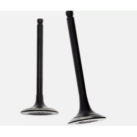 BMP Intake Exhaust Valve Spring For Firman WH03242 WHO3242 Dual Fuel Generator