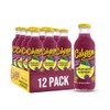 Calypso Lemonade, Grapeberry, Made with Real Fruit, 16 Fl Oz