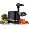 Omega H3000D Cold Press 365 Juicer Slow Masticating Extractor Creates