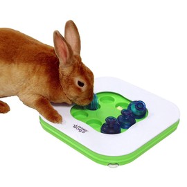 Living World 3-in-1 Teach-n-Treat Interactive Toy, Small Animal Toy, Ideal for Rabbits, Guinea Pigs, Chinchillas and Rats