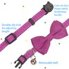 Gyapet Cat Collar with Bow Tie Bell Breakaway Kitten Small