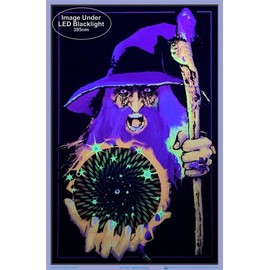 Mystic Wizard Blacklight Poster - Flocked - 23" x 35"