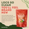Locsanity Dreadlock Hair Scalp Detox - Deep Clean Dreadlock Powder,