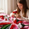 Caydo 500 Pieces Red Pipe Cleaners for Flowers, Craft Chenille
