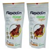 Bolsa Flexadin Advanced Original 60 Comprimidos Premios Dog