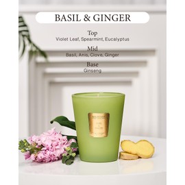 M&SENSE Basil Ginger Scented Natural Soy Wax Candle, 14.1oz 60 Hours Long Lasting Slow Burning Candles for Home Decor, Aromatherapy Candle for Stress Relief