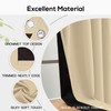 Thermal Insulated 100% Blackout Curtains for Bedroom with Black Liner,