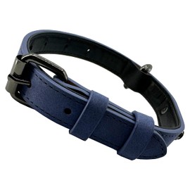Adjustable Dog Collar Simple Robust Weather-Resistant for Puppies Small Medium Large Dogs Classic Collar Dog (XS: 1.5 cm Wide for 26 cm - 35 cm Neck, Blue)