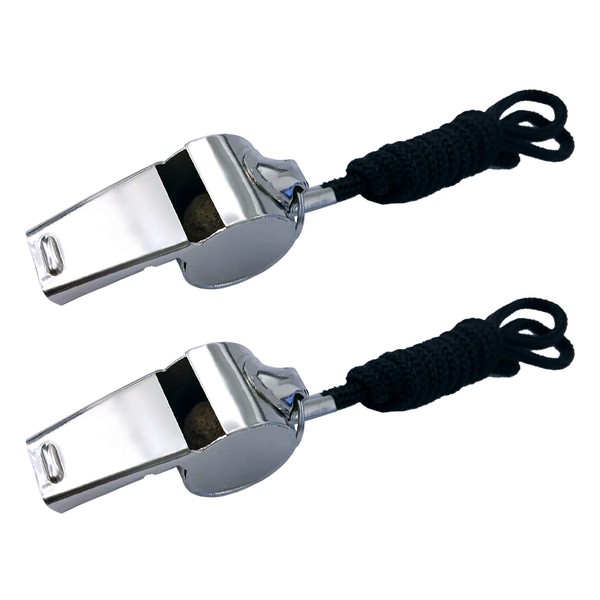 BEADNOVA Stainless Steel Whistles with Lanyard Lifeguard Whistle Referee Whistle Metal Whistle Sports Whistle Coaches Whistle (2 Pack, Silver)