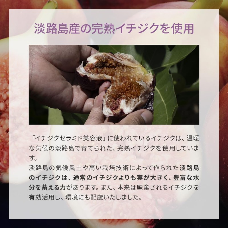 Chantor Charm Fig Ceramide Serum, 0.6 fl oz (18 ml),