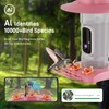 Hummingbird Feeder with Camera Outdoor, SV3C Hanging Bird Feeder with