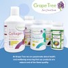 Grape Tree Marine Collagen 500mg Capsules – 120 Capsules Hydrolysed