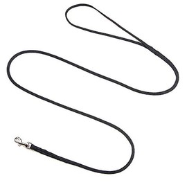 Mendota Pet Petite Snap Leash (Nylon) - Dog Lead - Made in The USA - Black, 3/8 in x 24 in (Heavy)