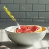 RSVP International Endurance Grapefruit Tool Collection Stainless Steel, Dishwasher Safe,