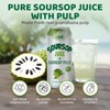 Vinut 100% Soursop Juice With Pulp (16.57 fl oz, Pack