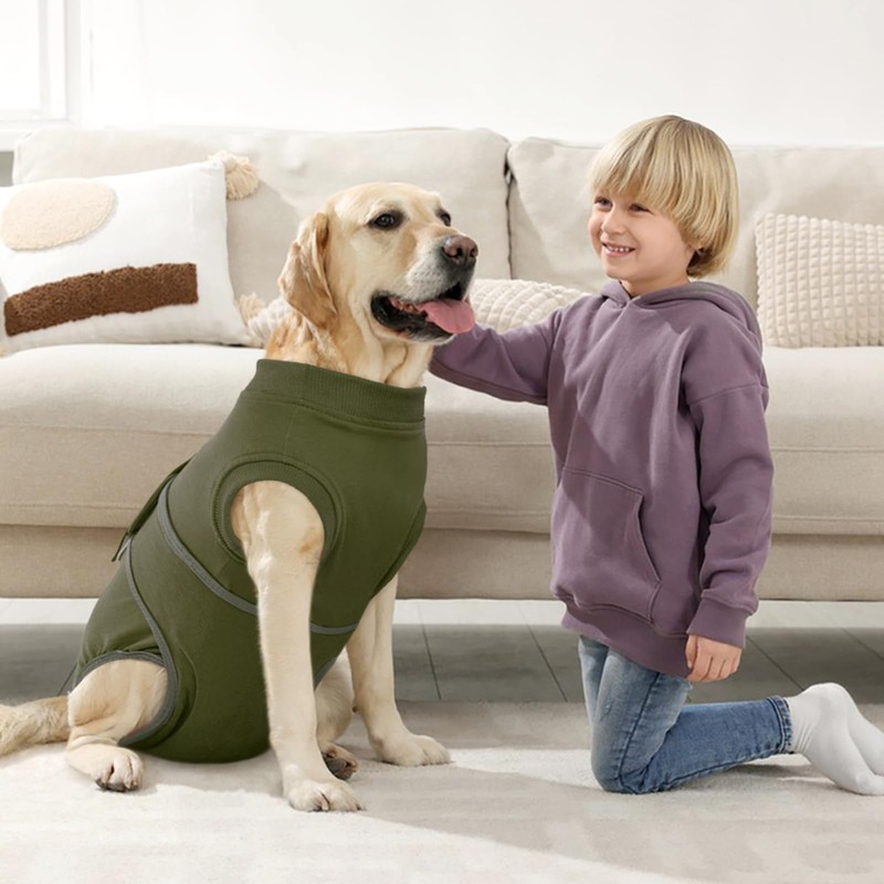 Kuoser Dog Bodysuit After Surgery Dog Bodysuit After Castration Male