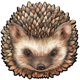 Mys Aurora Puzzles for Adults, Hedgehog Wooden Puzzles 200 Pieces, Unique Shaped Jigsaw Puzzles for Adults and Kids, Birthday Family Game 11.1 x 11.2 Inch Medium Size