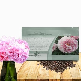 Outsidepride Peony Pale Rose Poppy Seeds for Planting - 10,000 Pcs Annual, Drought-Tolerant & Easy to Grow Wildflower Seeds with Vibrant Light Pink Blooms for Landscaping, & Pollinator Garden