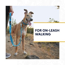 RUFFWEAR Web Reaction Dog Collar, Adjustable Martingale Collar with Aluminium V-Ring and Side Opening, Comfortable Fabric, Reflective with Tubular Lock Webbing, Blue Pool, 17"-20"